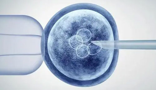 试管胚胎级别怎么看？按照胚胎质量的好坏来分！