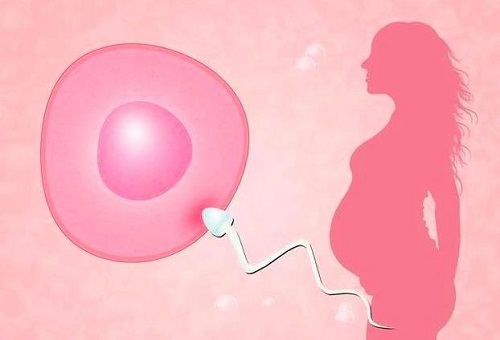 试管取卵后需要做宫腔镜吗？取卵时应当注意哪些问题？