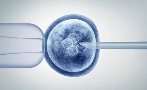 鲜胚移植到子宫后会萎缩吗？子宫内膜不均可以移植鲜胚吗？